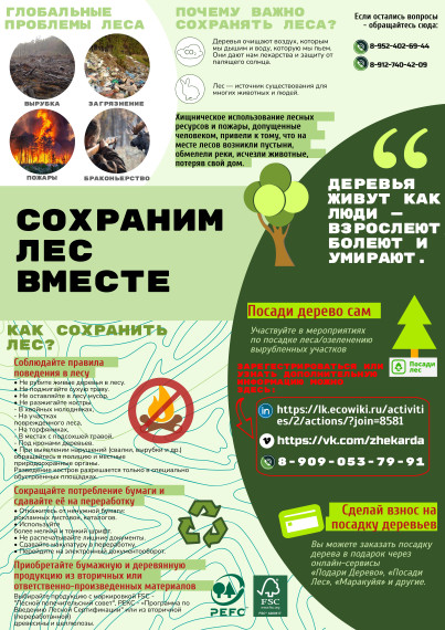 «Деревья живут как люди - взрослеют, болеют и умирают»..